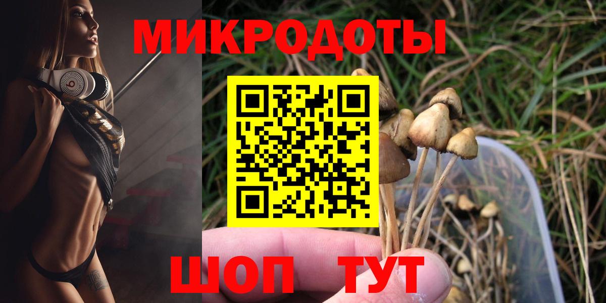 Прохладный  Галлюциногенные грибы мухоморы  Вход с VPN 